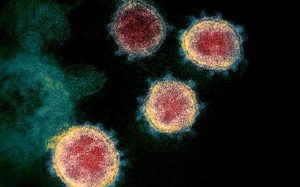 SARS-CoV-2’deki Mutasyonlar Virüs Evriminin İç Yüzünü Anlatır
