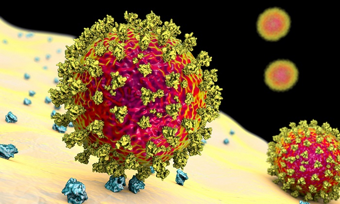 Koronavirüs Replikasyonunu Engelleyebilecek Madde Keşfedildi