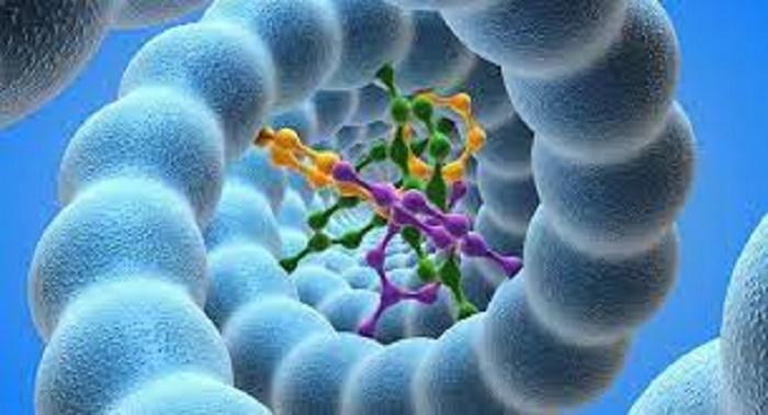 RUDN Biyoloğu, Çevresel Faktörlerin Biyopolimerlerin Nanolifleri Üzerindeki Etkisini İnceledi