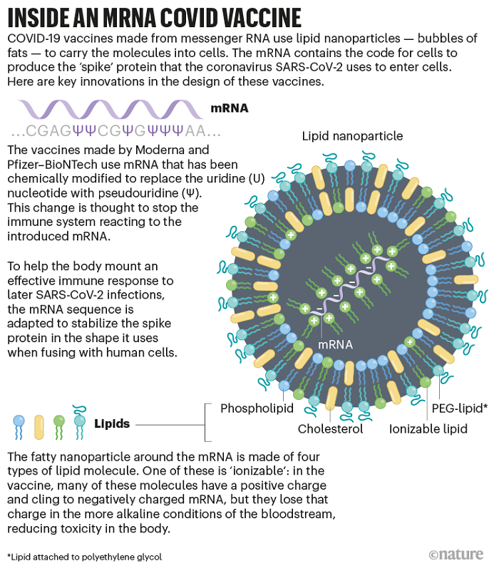 mRNA Aşılarının Karışık Tarihi