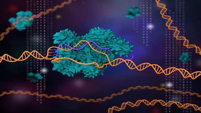 Tasarlanmış 'Mini' CRISPR Genom Düzenleme Sistemi Geliştirildi