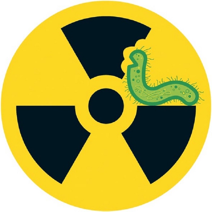 Toprak Mikrobu ile Nükleer Atıklar Temizlenebilir