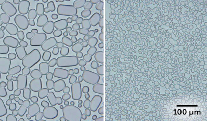 Pütürlü Dondurmaya Bitki Bazlı Nanokristal Dokunuşu