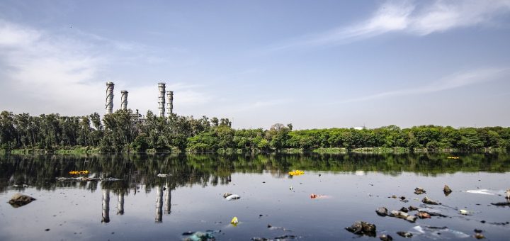 Cıva Kirliliğine Yenilenebilir Bir Çözüm