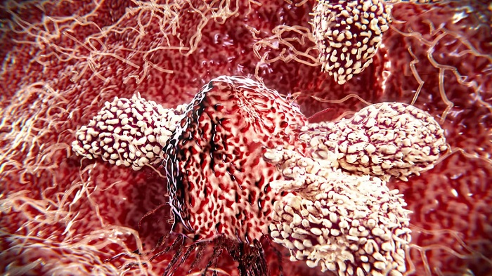 Kanser Tedavisinde Sevindirici Gelişme: Vücudumuz Bir Protein Sayesinde 10.000 Kat Daha Fazla Bağışıklık Hücresi Üretebilir