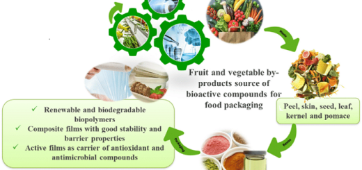 Meyve Kabuklarında Bulunan Biyoaktif Moleküllerin Potansiyel Uygulamaları