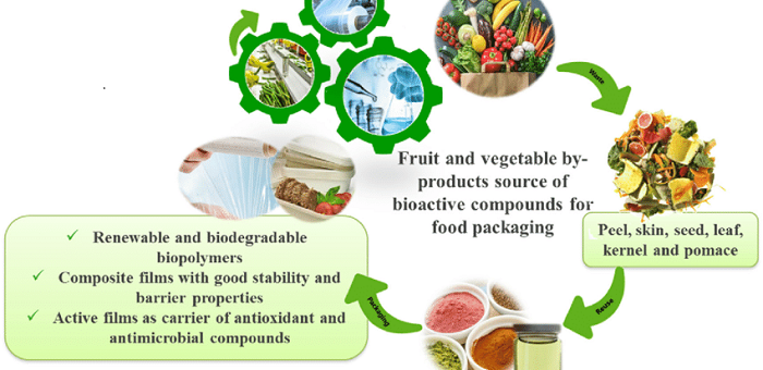 Meyve Kabuklarında Bulunan Biyoaktif Moleküllerin Potansiyel Uygulamaları