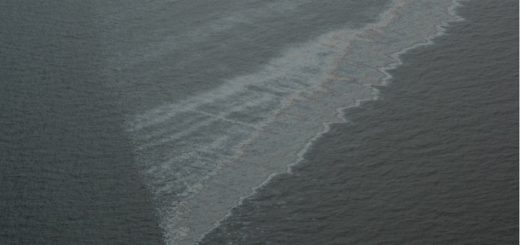 Okyanuslardaki Petrol Sızıntılarının Çoğu Neden Oluyor?