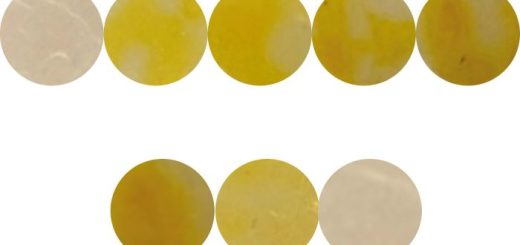 Gıdalarda Nitrit Tespiti İçin Çıkartmalar