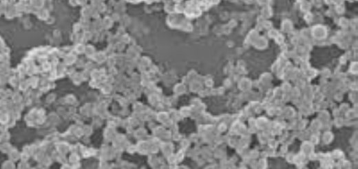 Endodontik Tedavi ve Teşhis İçin Mikro Robotik Platformların Kullanılması