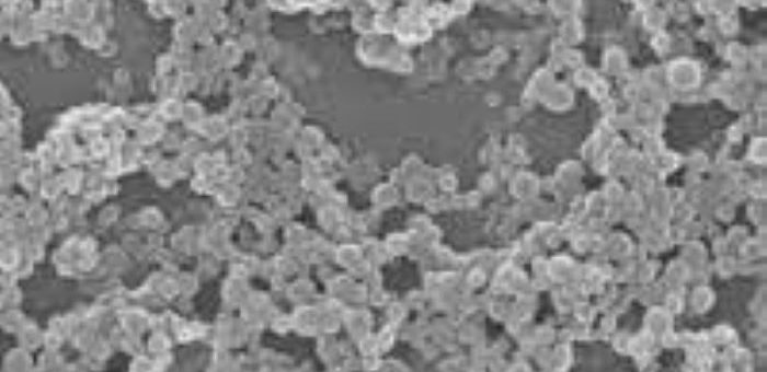 Endodontik Tedavi ve Teşhis İçin Mikro Robotik Platformların Kullanılması