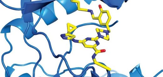 İlaç Geliştiricileri, Hastalığa Bağlı Proteinler Üzerinde Lizin Amino Asidini Araştırdı