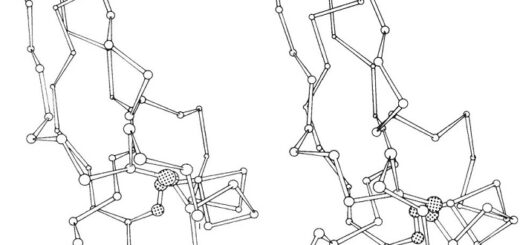 Moleküler Aktiflik Simülasyonu