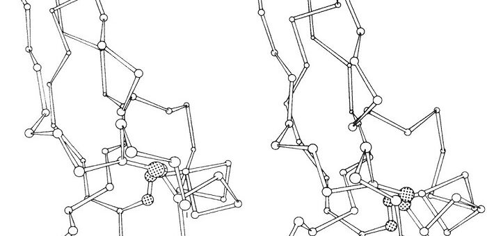 Moleküler Aktiflik Simülasyonu