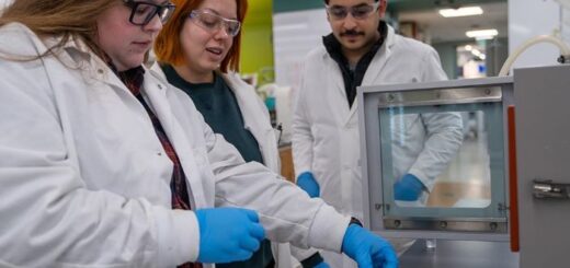 Araştırmacılar, Selüloz Nanokristallerini Kolayca Kurutmak, Yeniden Dağıtmak İçin Mekanizmaları Ortaya Çıkardı