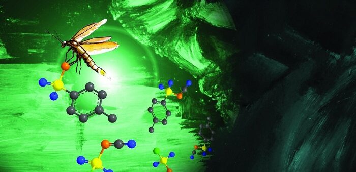 Yeni Floresanslı Maddeler