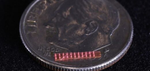 Bitkiler İçin Mikro İğne Bazlı İlaç Dağıtım Tekniği Geliştirildi