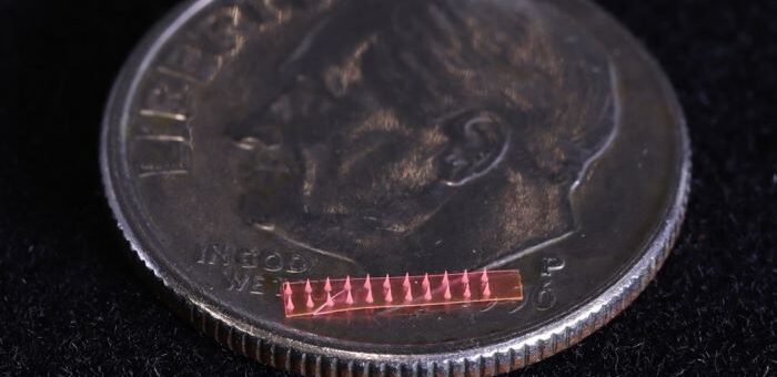 Bitkiler İçin Mikro İğne Bazlı İlaç Dağıtım Tekniği Geliştirildi