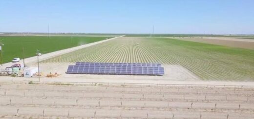 Havadan Gübre Üretimine Yeni Bir Reaktör Yaklaşımı